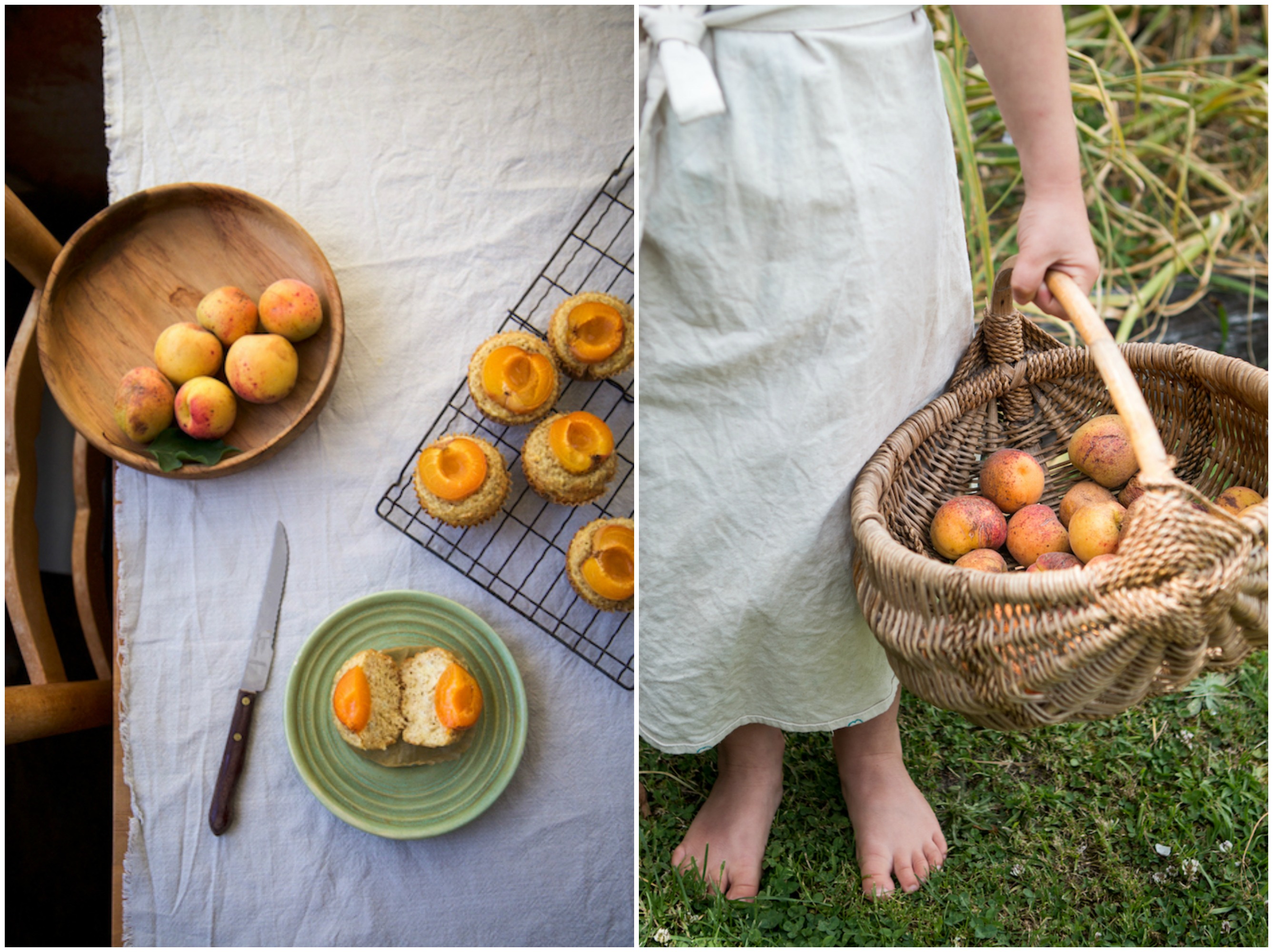Apricot Collage