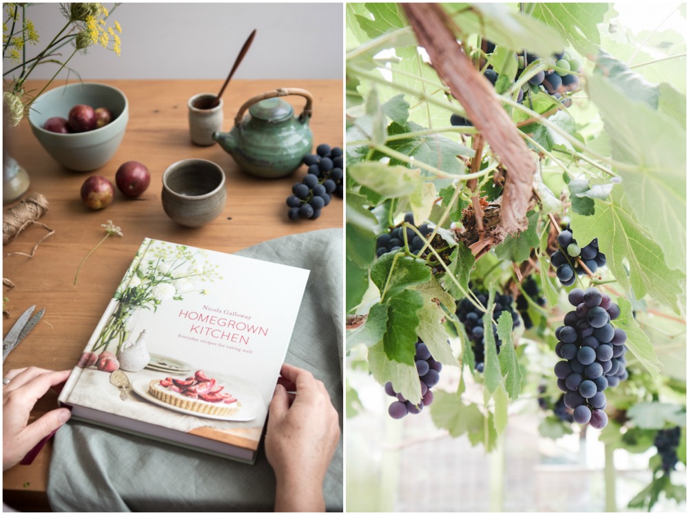 Book Grape Collage